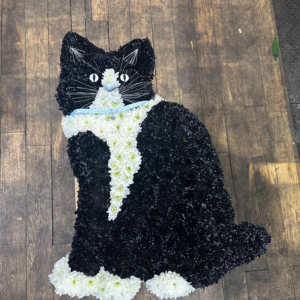 2D Cat Floral Tribute